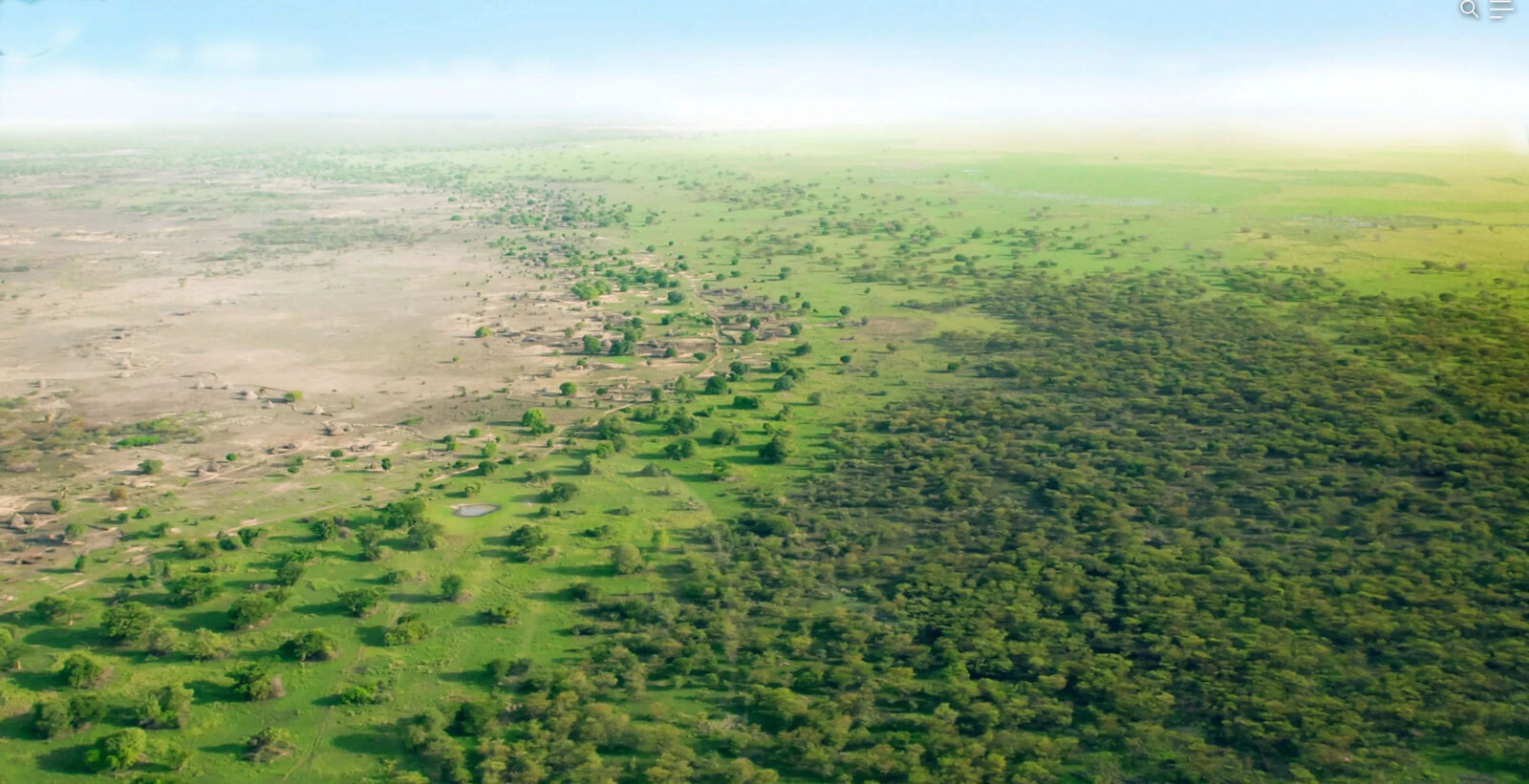COP30 Renewed Push Seeks Major Financing to Accelerate Africa's Great Green Wall