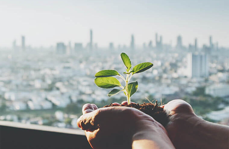 Nigeria's ESG Shift: Turning Responsibility Into Corporate Growth And Investor Access